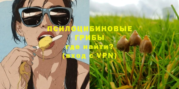 наркотики Новодвинск