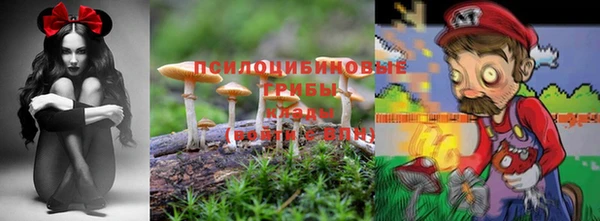 первитин Нея