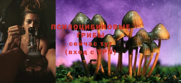 наркотики Новодвинск