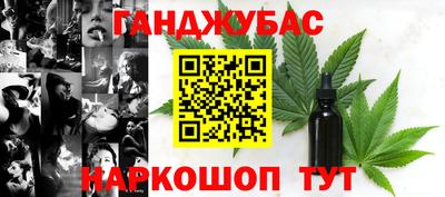 стафф Гай