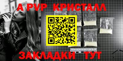стафф Гай