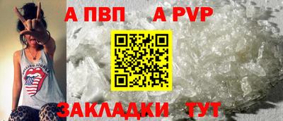 стафф Гай
