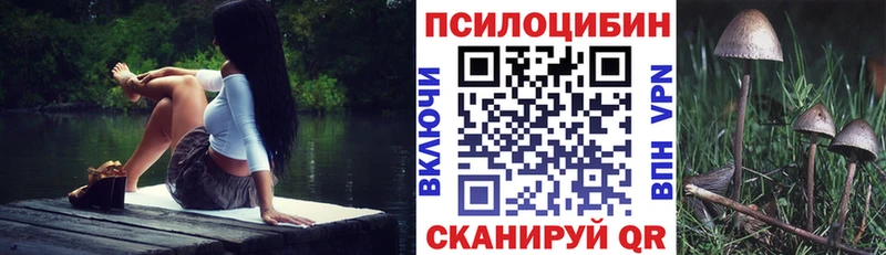 Галлюциногенные грибы Psilocybe  KRAKEN ONION  Магадан 