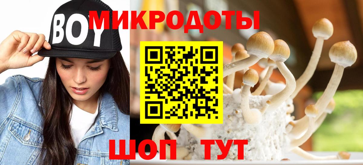 Псилоцибиновые грибы прущие грибы Магадан